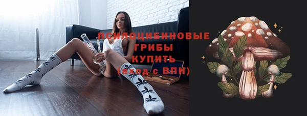 гидропоника Нягань