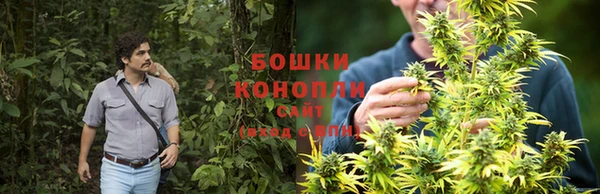 гидропоника Нягань