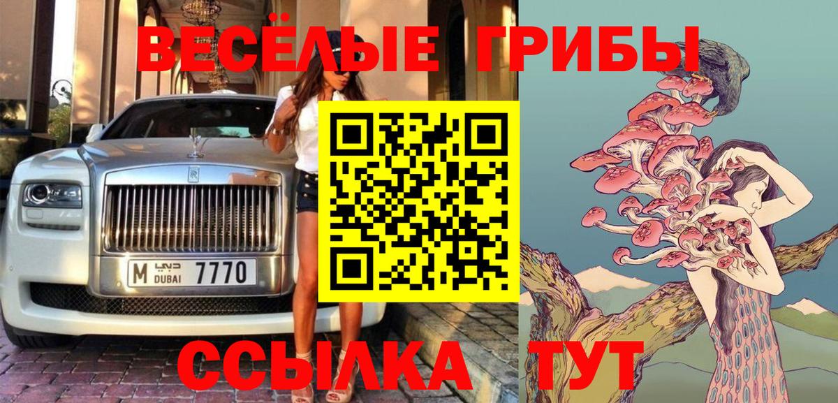Псилоцибиновые грибы GOLDEN TEACHER  Вход с VPN  Отрадное  Галлюциногенные грибы Magic Shrooms 