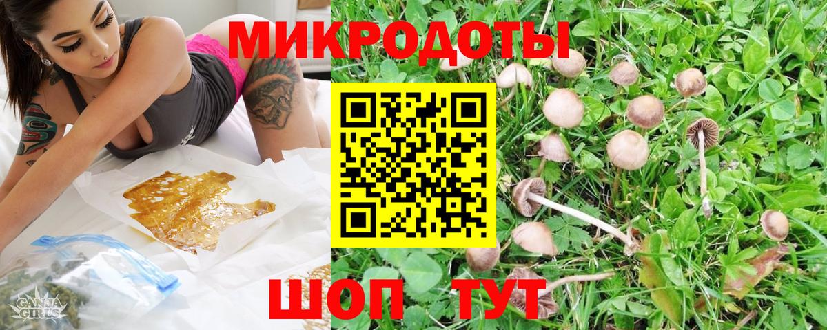 Псилоцибиновые грибы Cubensis  Отрадное 