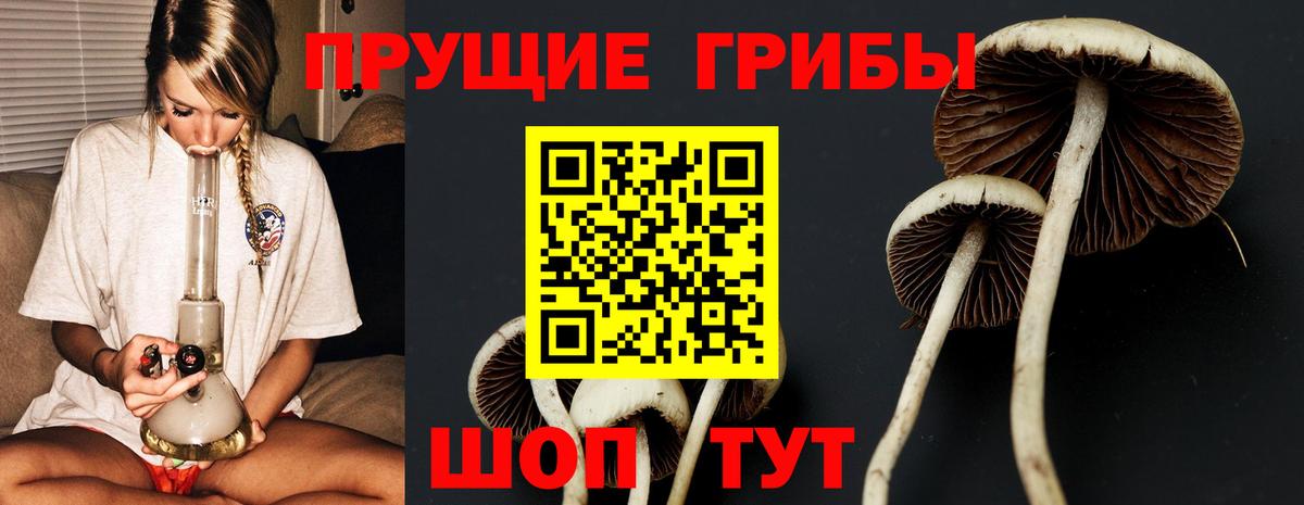 Галлюциногенные грибы прущие грибы Отрадное